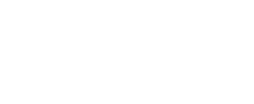 Accuratus_vit