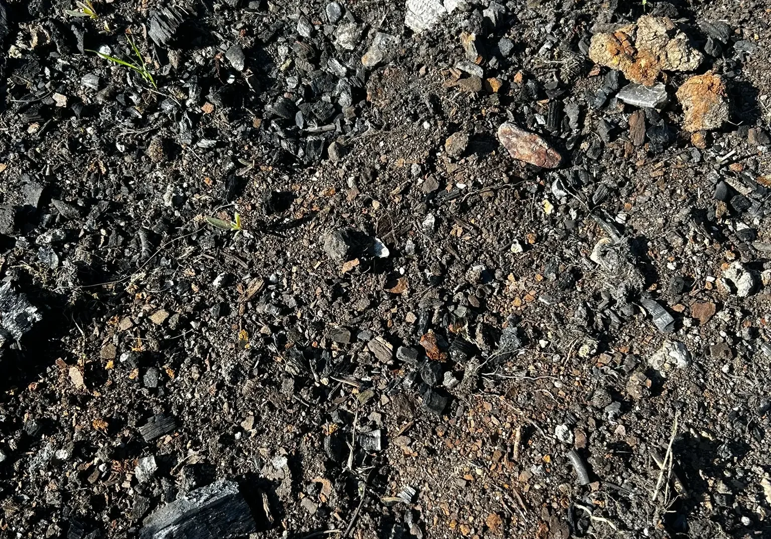 förorenad mark bild 2